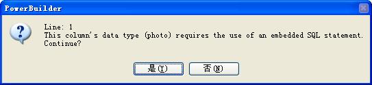 PB关于IMAGE类型
